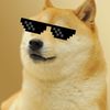 doge_pro1