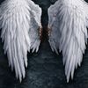 prettywings505
