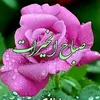 user9173543061402