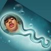 pond_jub_