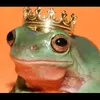 kingo.frog