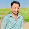 zarshaidali143