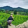 miftahfauzi93