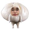 vezixule