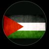 rashidjatt445