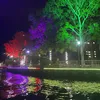 qeylsblossom