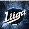 liiga379