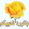 mohamad197355