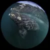 aquaterraimagery