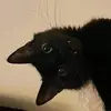 clooohs