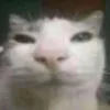 szzklankaa