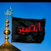 zabil_788
