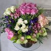 riyas76029