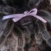 lobotobunny