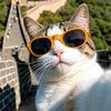 gatito26343