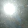 gu_momex