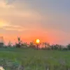 memory_2019_