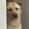 babebuuuuuuuuuuu0