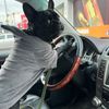 username_5004002