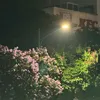 roimoithuseonthoi18