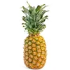 sha1ny_pineapple