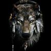 djmusicreelwolf