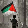 yankhoub9