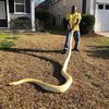 thesnakeman98