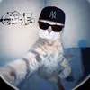 kurtpoge12