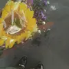 xvnrzyp