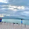 hoangduy8850