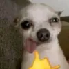 qtmimi0