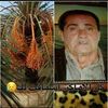 ranimmohamed2
