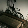 fixedgear20