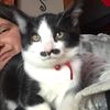 catandkids9