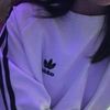 nicoseeeek2