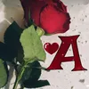 No love 444