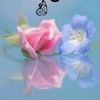 beautifulflower303