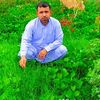 pti___tiger311