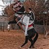 mostafa92_