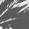 wanderlust9779