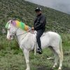 daffaalfatih503