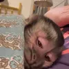debskkk7
