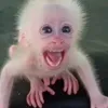 hello.swimnaked