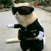 kidzinha.ff_