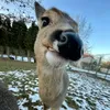 ehhhhhh_5