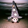 thealmightyratwitch