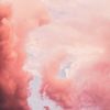 devon_west_