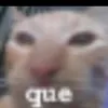 luaferrsr
