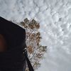 mi_nou__21